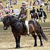 Dunster Country Fair 2019